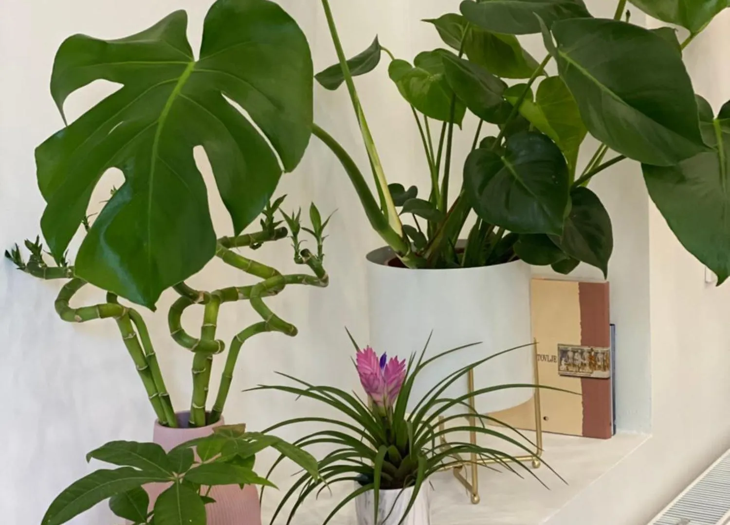 Jungle Loft - Central/Free Parking Ljubljana Apartment